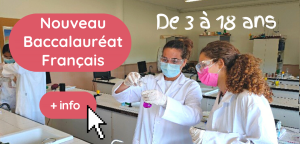baccalaureat-lycee-francais-fr