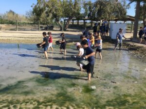 viaje-pedagogico-amposta-primaria-lycee-reus-4